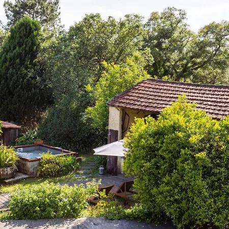 Porto Natura House * Valongo (Porto)