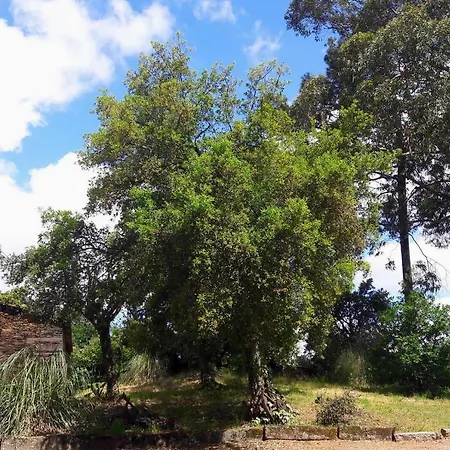 Porto Natura House Villa